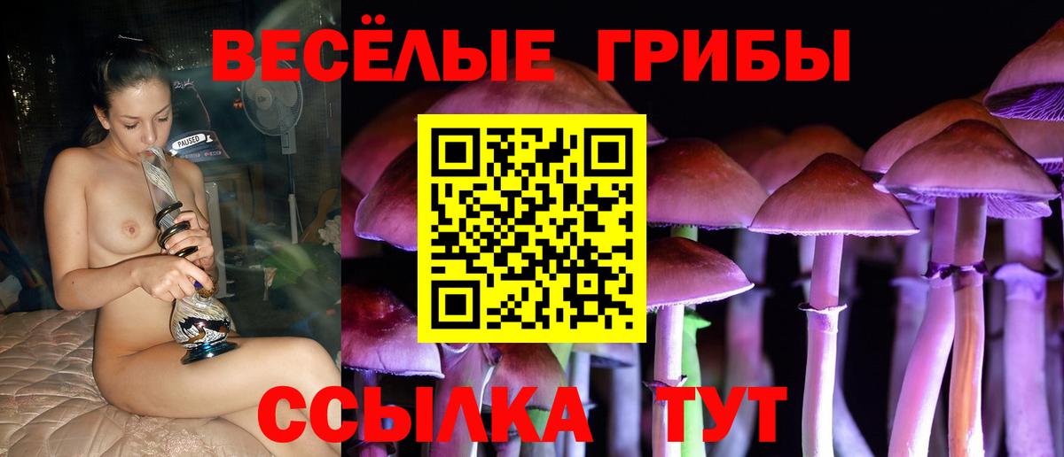 Видное  Псилоцибиновые грибы прущие грибы  Вход с VPN 